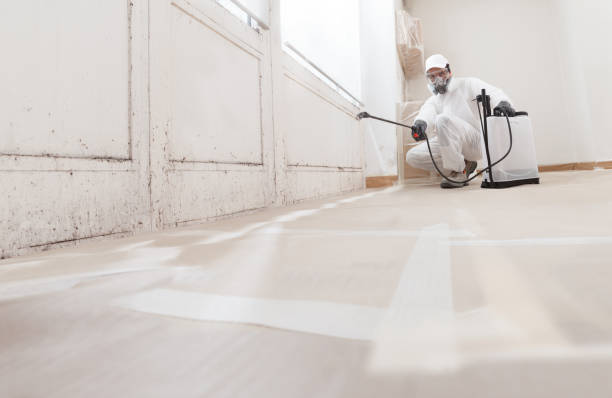 24/7 Emergency Mold Remediation experts in Lawrenceville, VA
