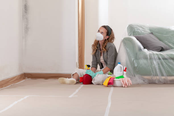 Reliable Mold Remediation contractor in Lawrenceville, VA by WQB Mold Removal