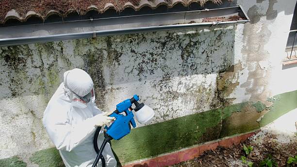 Top rated local Mold Remediation specialists in Lawrenceville, VA
